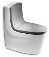 Унитаз-компакт Roca Khroma в комплекте со спинкой серого цвета и сиденьем «мягкое закрывание» серебро A342657000+A341650000+80165AF2T+A801652F1T-0