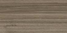 Керамическая плитка NewTrend Essense Brown 24.9х50 м2 WT9ESS08-0