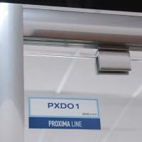 Душевая дверь Roth распашная Proxima Line PXDO1N/100 хром/матовое 525-1000000-00-15-3